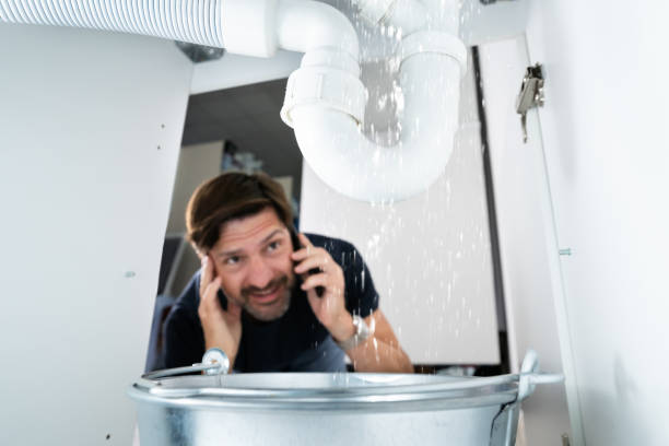 Best Best Plumbers Near Me  in Lake Butler, FL