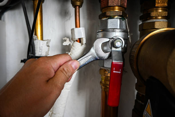 Best Faucet Repair  in Lake Butler, FL